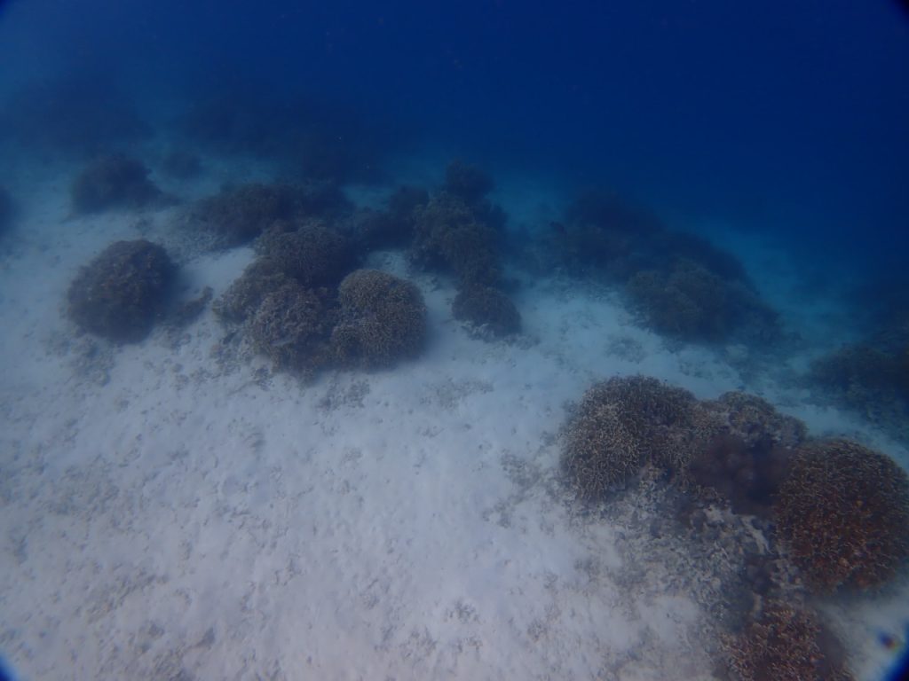 船のお掃除がてら