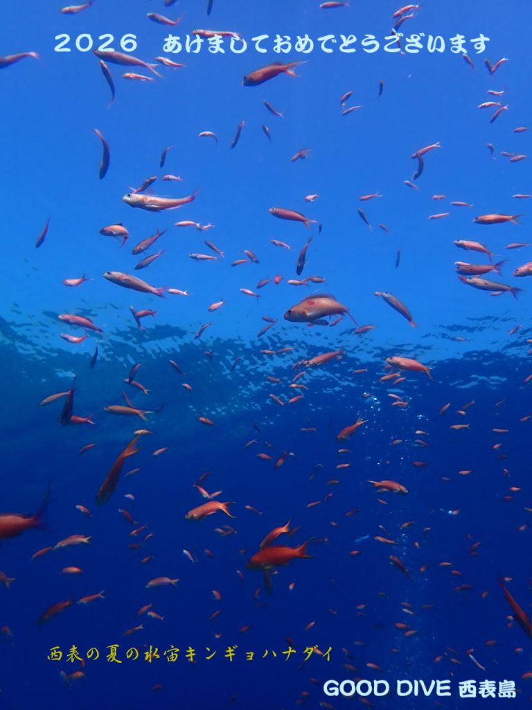 あけましておめでとうございます。