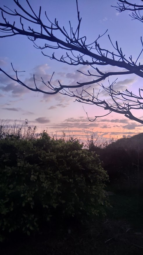 西表島 2月の朝