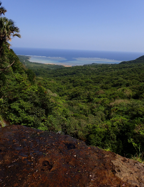 西表ユチン滝上から 2022 4/3