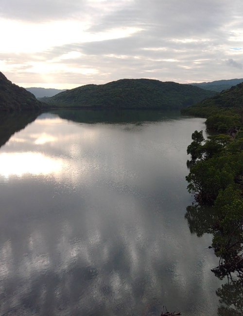 沖縄最大の浦内川 2022 3/1