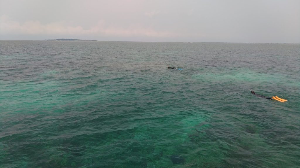 ラグジュアリー体験ダイビング