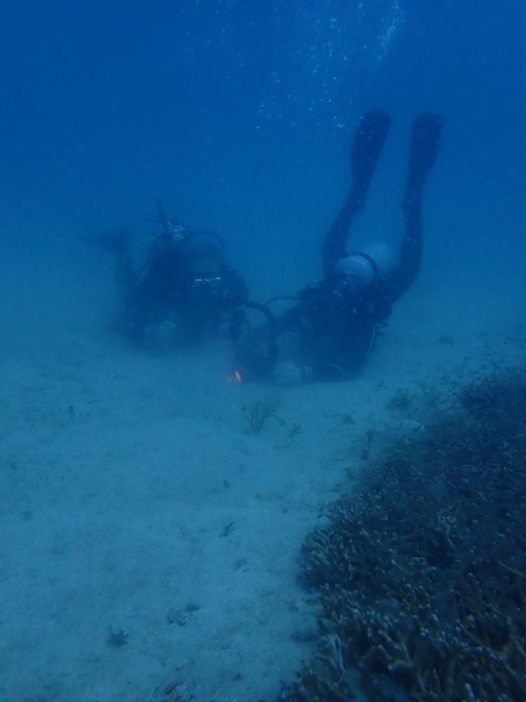 海を楽しみに