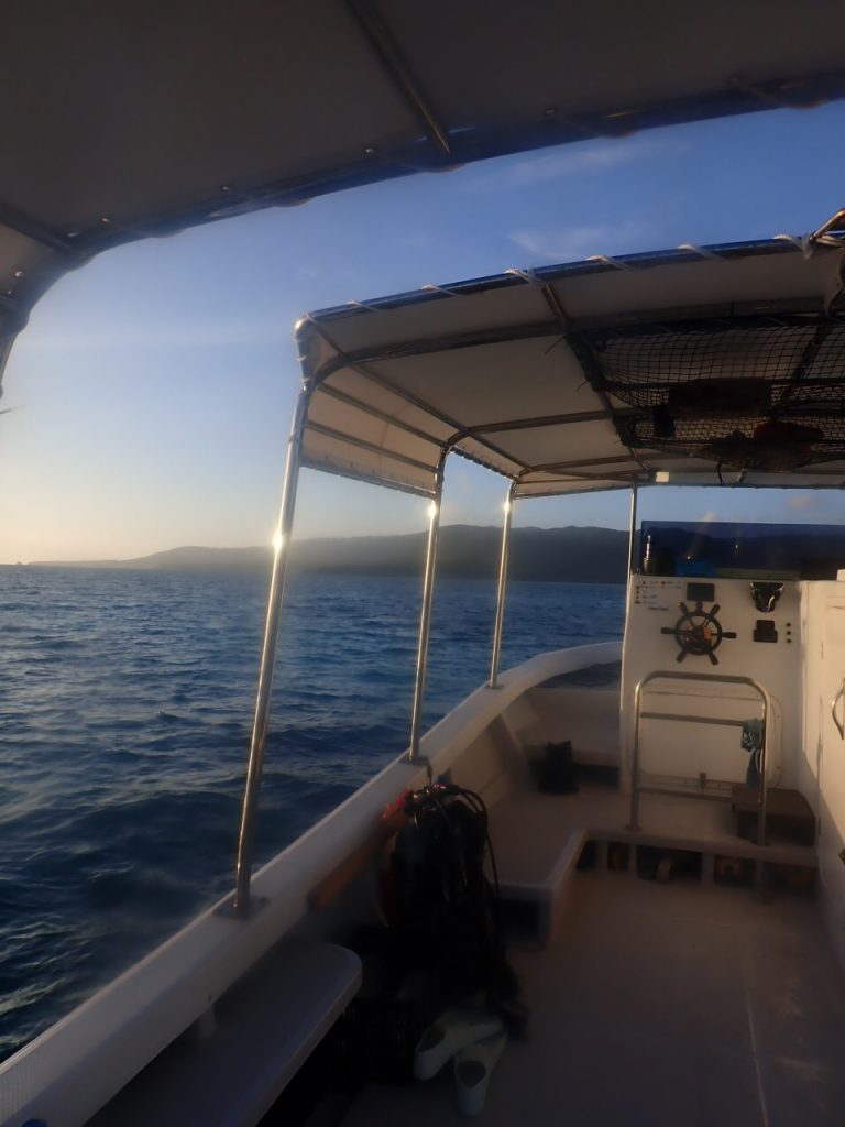 朝の海