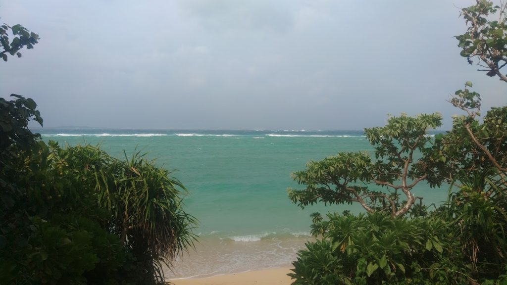 中野海岸