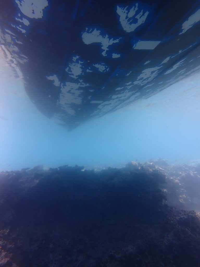 浅瀬も進入可能。